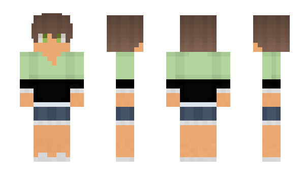 Minecraft skin Akrimochi