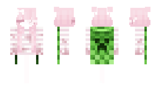 Minecraft skin TryingForget