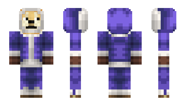 Minecraft skin shelfnikita