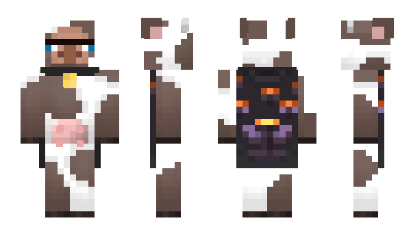Minecraft skin tardinoop