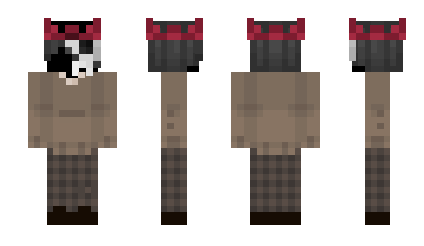 Minecraft skin TheRealSock