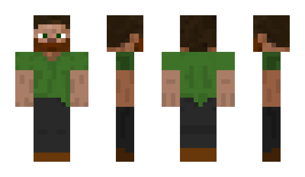 Minecraft skin brothergui