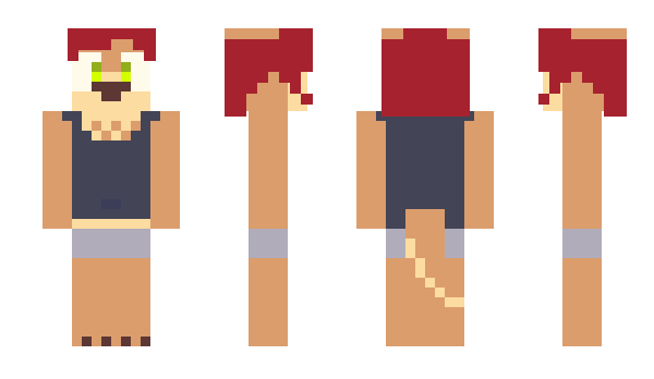 Minecraft скін по ніку rooeygooey