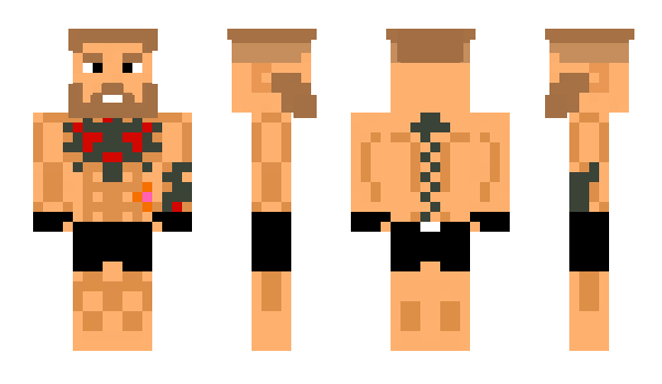 Minecraft skin SonixCZ