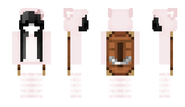 Minecraft skin saintregis