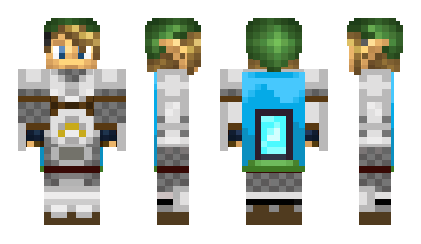 Minecraft skin Voxelcraft