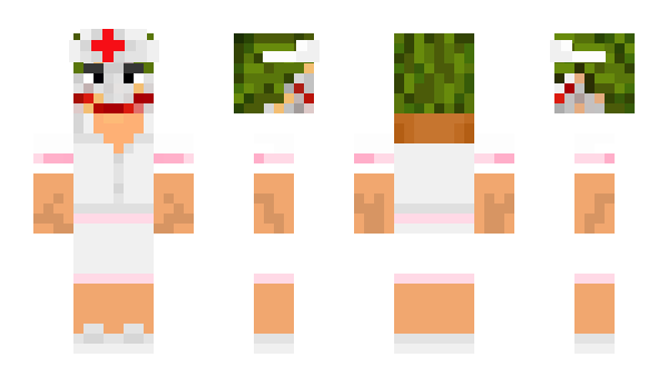 Minecraft skin wazabit