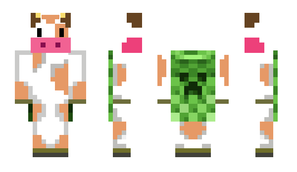 Minecraft skin Troilux1