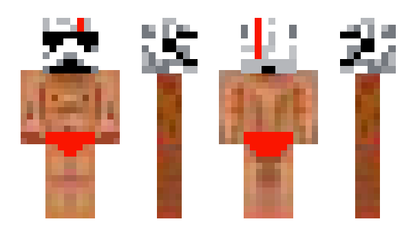 Minecraft skin ChildDolphin