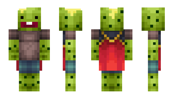 Minecraft skin Blashington