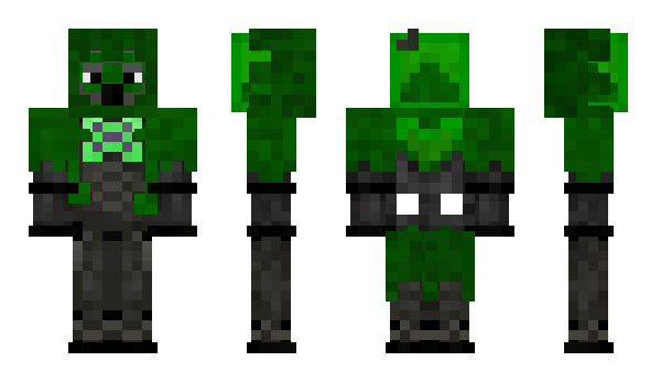 Minecraft skin SilvaVE