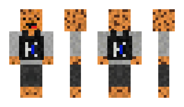 Minecraft skin booci