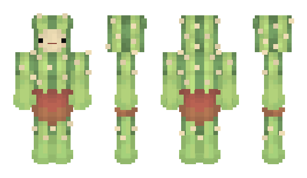 Minecraft skin Shy_Cactus