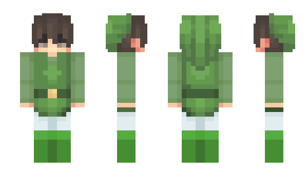 Minecraft skin ToLink