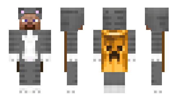 Minecraft skin TYPECEKXD