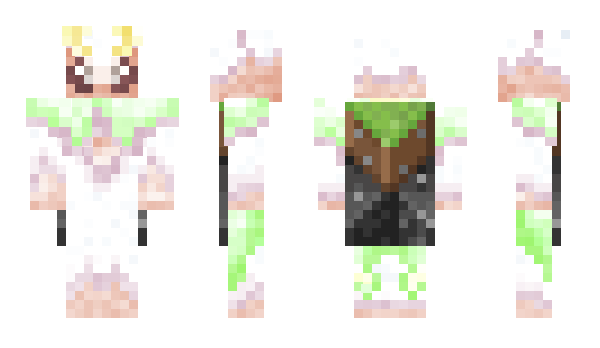 Minecraft skin Mococobaubau