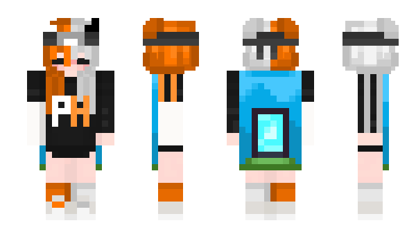 Minecraft skin pa4ipu4