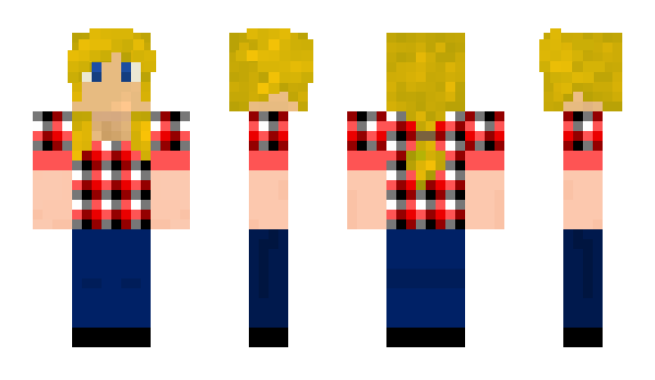 Minecraft skin lg5