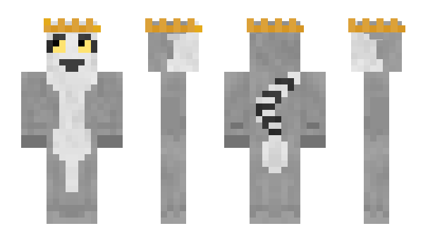 Minecraft skin teroter