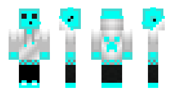 Minecraft skin Providence