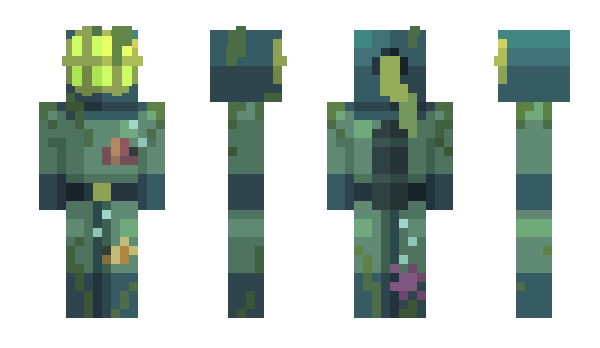 Minecraft skin sillybirdnori