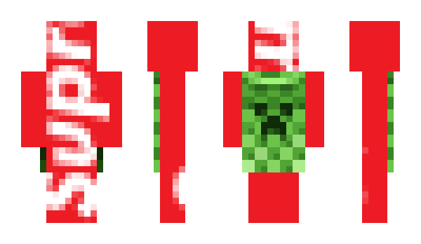 Minecraft skin wsted