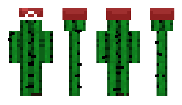 Minecraft скін по ніку Micag