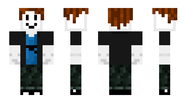 Minecraft skin 8804