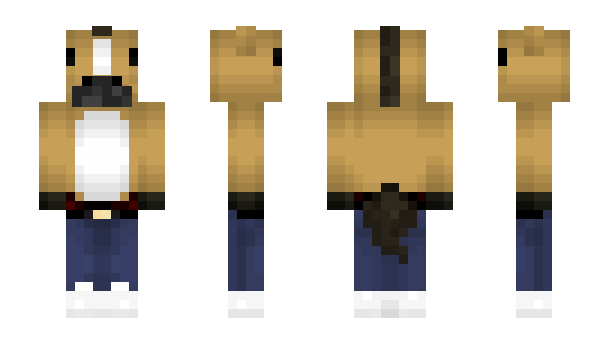 Minecraft skin Cameramo