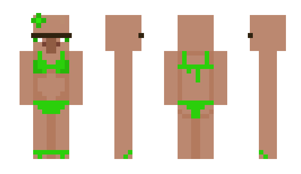 Minecraft skin dddraket