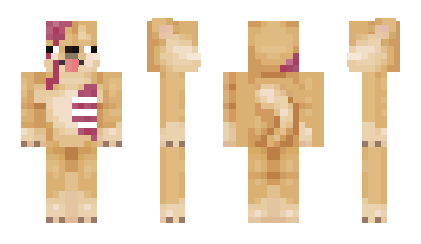 Minecraft скін по ніку Charbii
