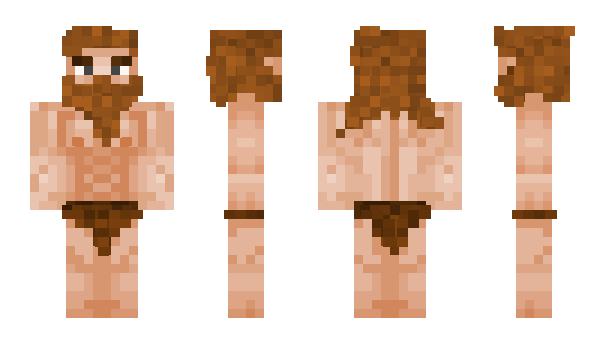 Minecraft skin Druidd