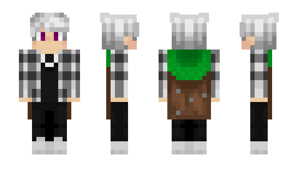 Minecraft скін по ніку Socksappolo