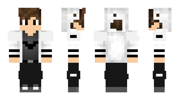 Minecraft skin AkkuSehrNormal