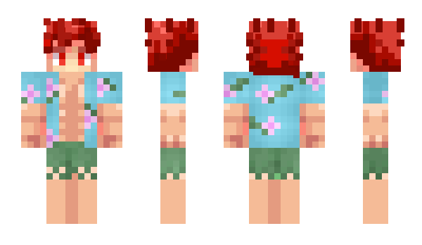 Minecraft skin cants