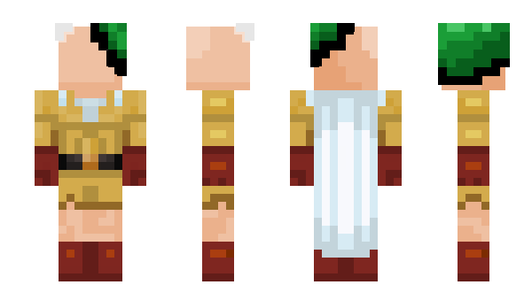 Minecraft skin SDWaS