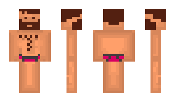 Minecraft skin Verlier