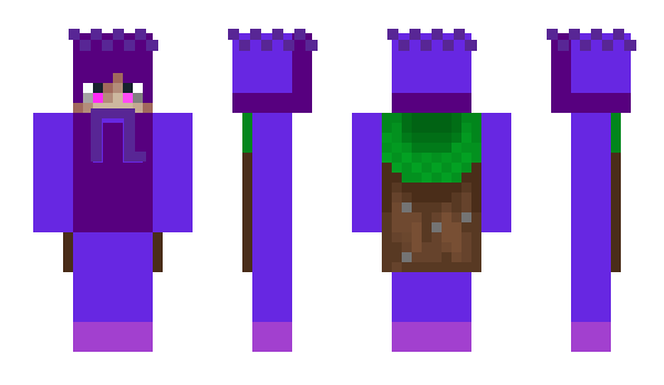 Minecraft skin Paytnik