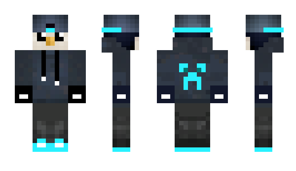 Minecraft skin blockypanda