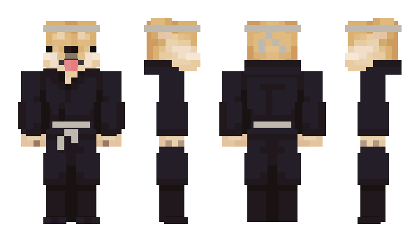 Minecraft skin Metaph