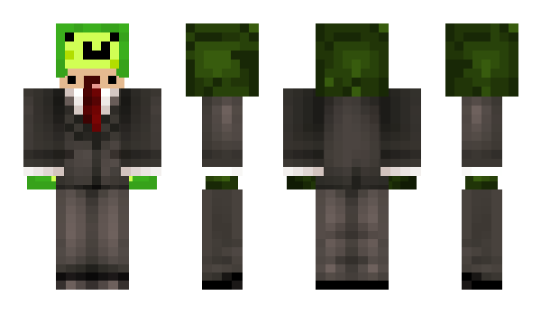 Minecraft skin palta24