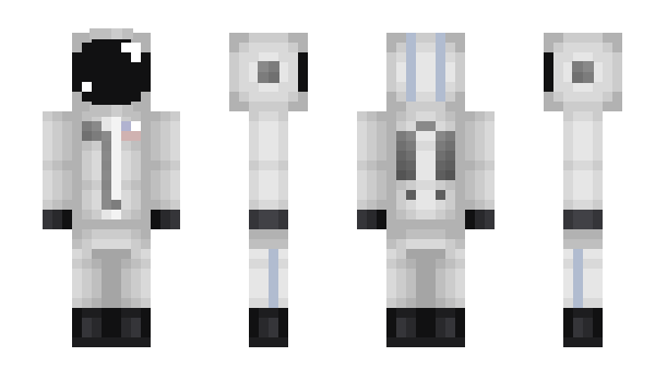 Minecraft skin everlongvl