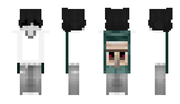 Minecraft skin GSHZ