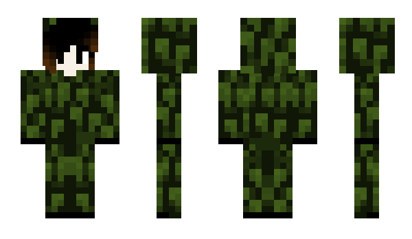 Minecraft skin Leafpool