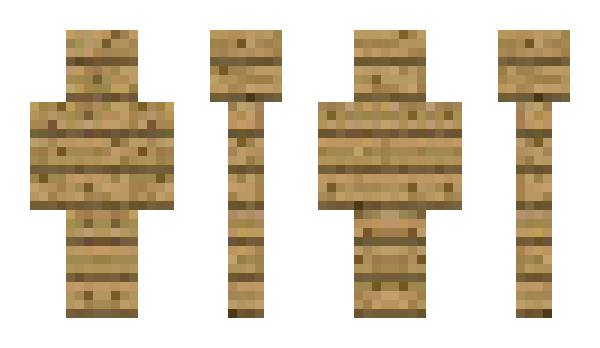 Minecraft skin LabVIEW