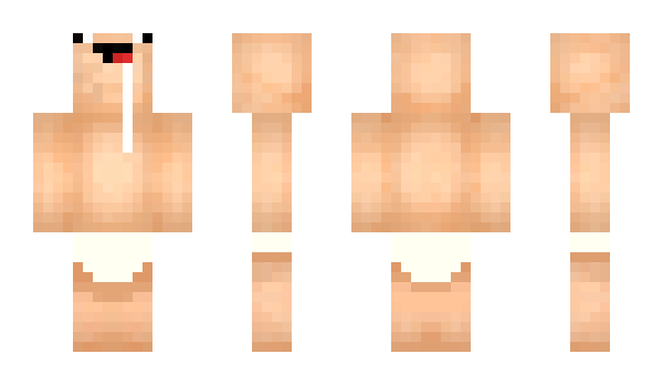 Minecraft skin Pokipoki