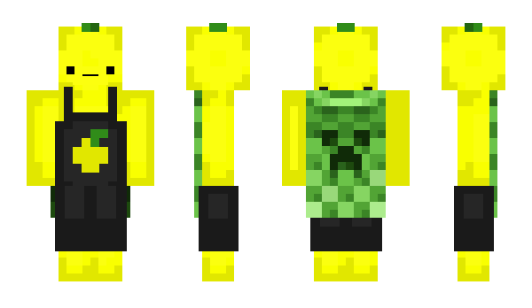 Minecraft skin xHid