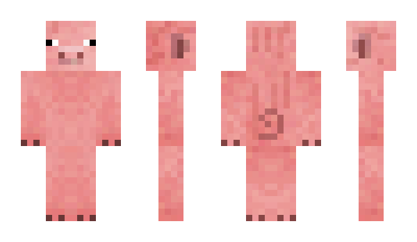 Minecraft skin mp220304