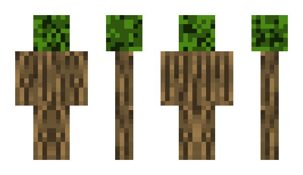 Minecraft skin Arnol