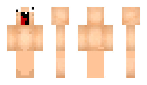 Minecraft skin Chookske_ob
